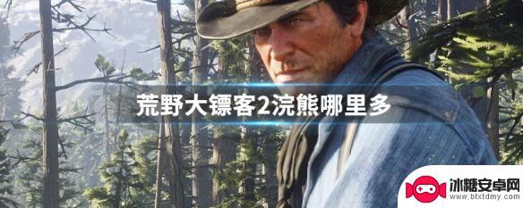 荒野大镖客2 小浣熊 荒野大镖客2浣熊皮交易价格