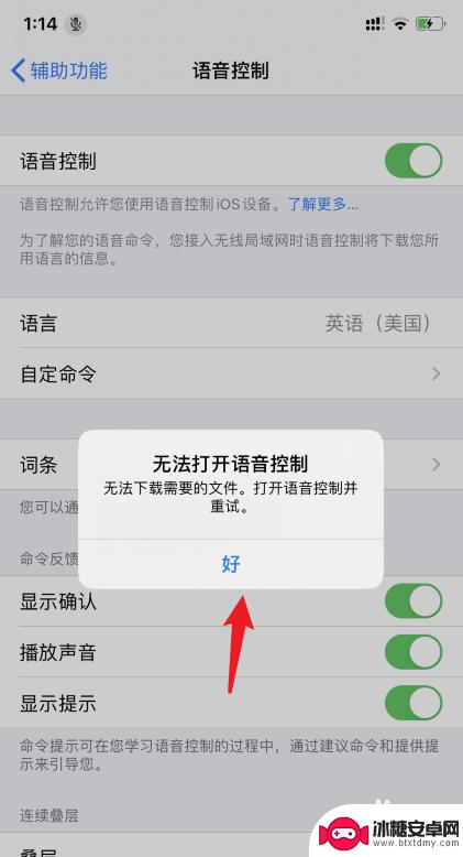 苹果手机语音不受控制怎么办 iphone无法使用语音控制怎么办