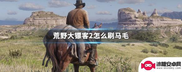 荒野大镖客2没有毛刷 怎么在荒野大镖客2中快速刷马毛