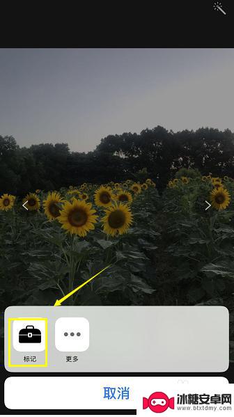 苹果手机怎么写字文案 iPhone怎么给照片添加标语