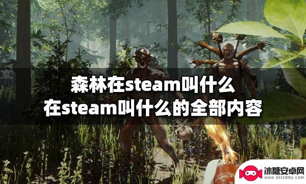 森林英文名字steam 森林在Steam上叫什么游戏