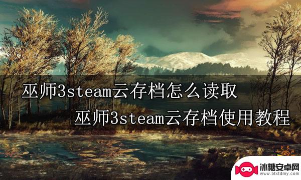 steam怎么接收ns巫师3的存档 巫师3steam云存档导入教程