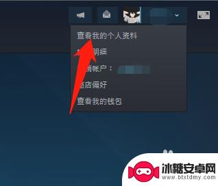 steam好友可以看到什么 如何在Steam中设置不让好友知道我在玩什么游戏