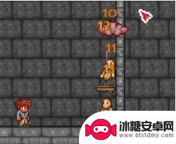 泰拉瑞亚法师前期开荒 泰拉瑞亚法师开荒流程攻略怎么玩