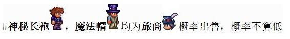 泰拉瑞亚法师前期开荒 泰拉瑞亚法师开荒流程攻略怎么玩