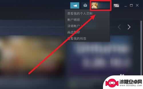 steam怎么让好友看不到你的库存 Steam怎么设置私密游戏库存