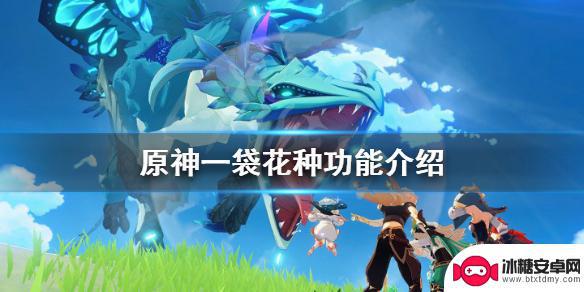 原神海螺屋一袋花种 《原神》一袋花种子可以用来做什么