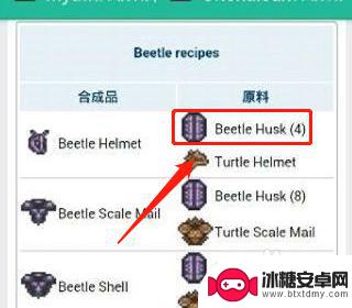 泰拉瑞亚甲虫套材料怎么做 泰拉瑞亚甲虫套配方