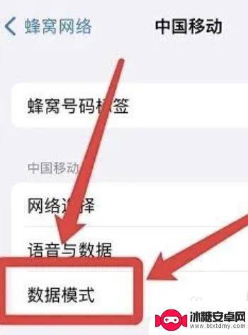 苹果手机数据模式 如何在苹果手机上开启标准数据模式