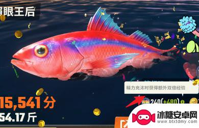 欢乐钓鱼大师怎么快速获得经验 欢乐钓鱼大师快速升级技巧