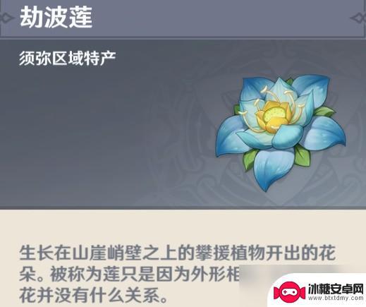 原神须弥绿色的花是什么 《原神》须弥植物用途解析