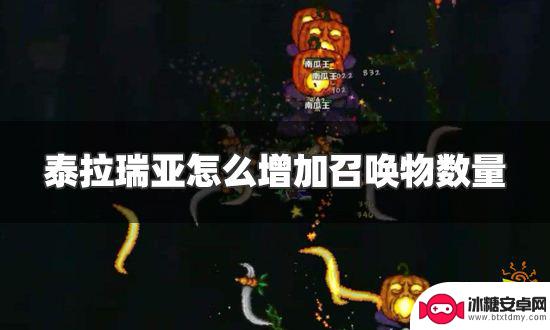 泰拉瑞亚能加召唤物的饰品 泰拉瑞亚召唤物数量增加方法大全