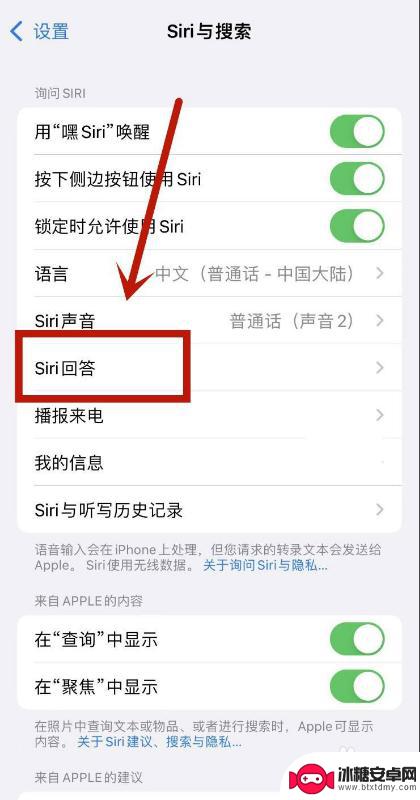 苹果手机赛瑞siri没有声音怎么回事 Siri唤醒没有声音怎么办