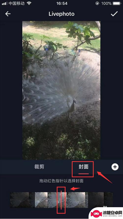 苹果手机怎么把视频设置成实况 如何将视频转换成Livephoto