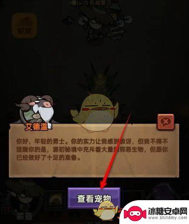 迷雾大陆如何带宠物 《迷雾大陆》宠物如何跟随