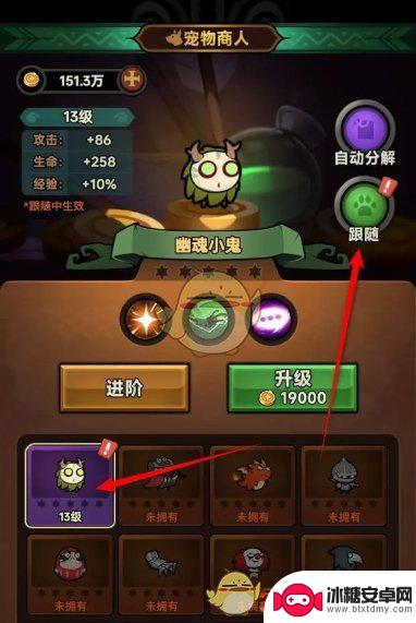 迷雾大陆如何带宠物 《迷雾大陆》宠物如何跟随