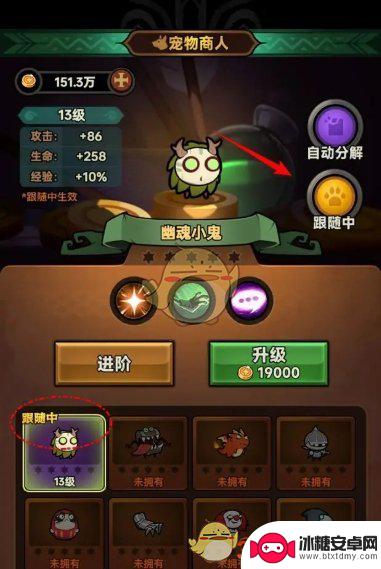 迷雾大陆如何带宠物 《迷雾大陆》宠物如何跟随
