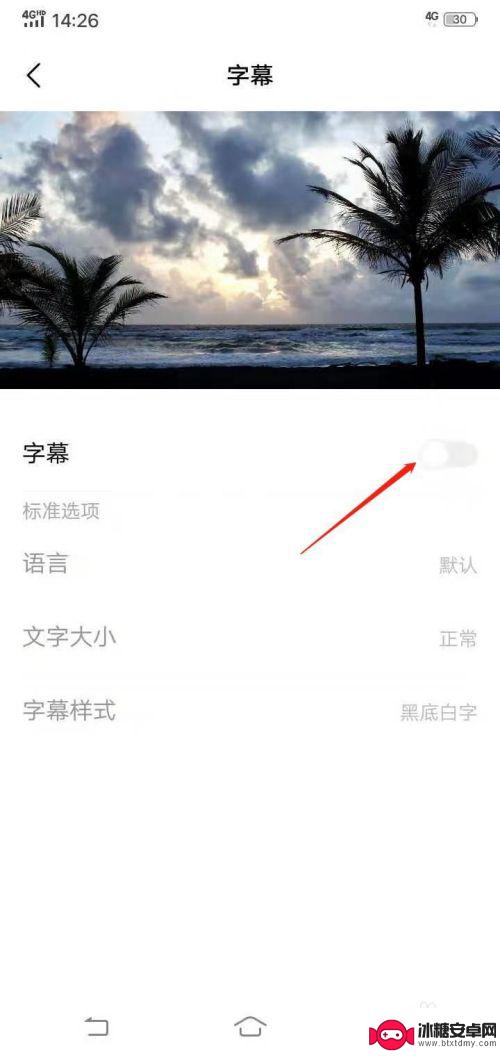 手机字幕大小是怎么设置的vivo Vivo手机如何打开字幕显示选项