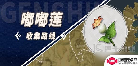 原神嘟嘟莲采摘地点 原神嘟嘟莲采集点在哪个地图