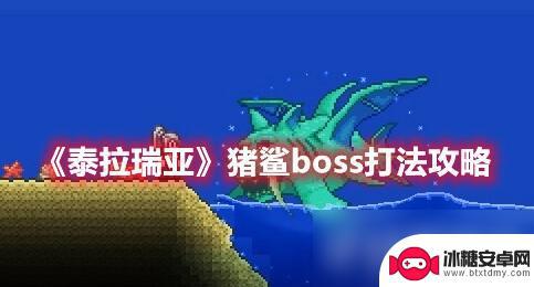 泰拉瑞亚boss鲨 泰拉瑞亚 猪鲨boss 打法技巧分享