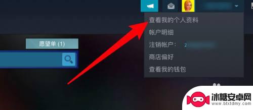 steam物品隐私 Steam如何设置隐藏游戏不让好友发现