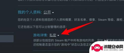 steam物品隐私 Steam如何设置隐藏游戏不让好友发现