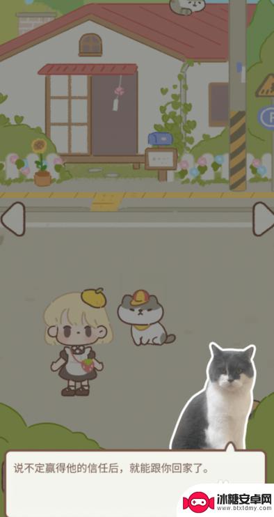 遇见你的猫如何把白鸽送回家 遇见你的猫逛逛里的动物领养方式