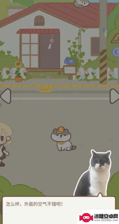 遇见你的猫如何把白鸽送回家 遇见你的猫逛逛里的动物领养方式