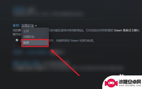 steam库存怎么设置不公开 怎样在Steam上设置不公开游戏库存