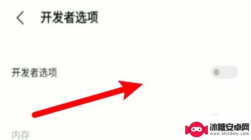 iqoo手机怎么打开开发者选项 iqoo手机开发者选项设置方法