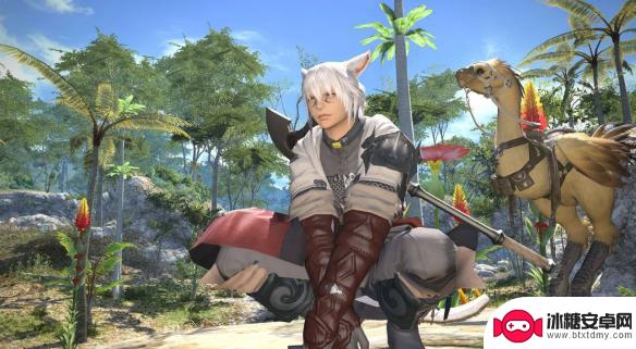 ff14商城衣服丢了 《ff14》商城时装丢失后能否重新领取