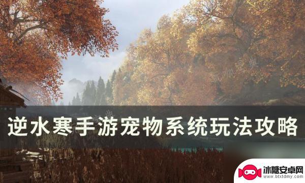 逆水寒怎么送宠物给好友 逆水寒手游宠物系统玩法介绍
