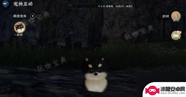 逆水寒怎么送宠物给好友 逆水寒手游宠物系统玩法介绍