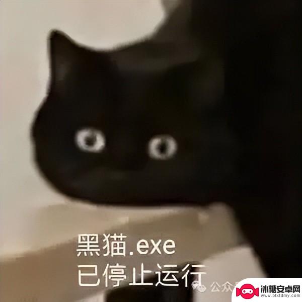 《明日方舟》玩家再次掀起舟批和蟑螂一样多的讨论