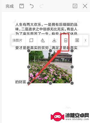 手机上wps的图片怎么删除 手机WPS文档如何删除插入的图片步骤