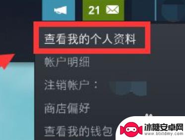 steam手机版怎么屏蔽游戏 Steam如何保密自己在玩的游戏