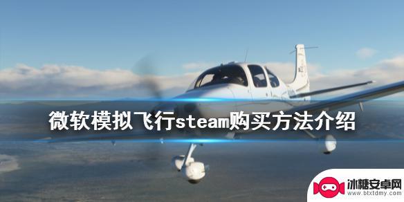 steam微软模拟飞行2020怎么买 微软模拟飞行2020 steam购买指南