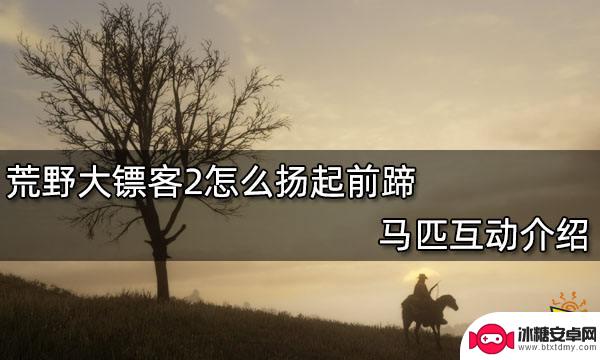 荒野大镖客马怎么抬前蹄 荒野大镖客2马匹互动特点介绍