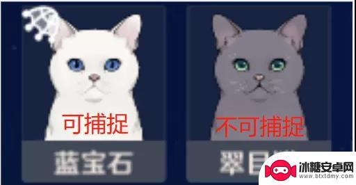 猫为什么抓不了原神的东西 《原神》四方八方之网为什么无法捕捉动物