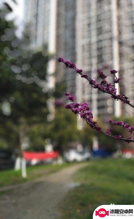 手机拍摄如何避免抖动光圈 手机拍摄背景虚化技巧