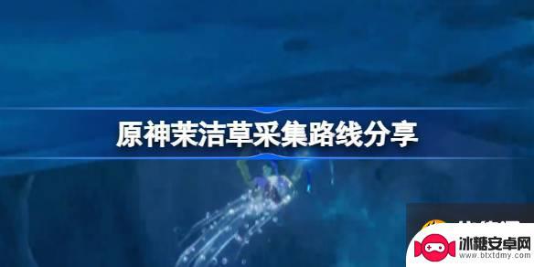 原神茉洁草位置 原神茉洁草获取方法分享