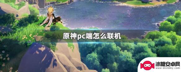 原神如何联机教程 原神pc端怎么进行在线联机