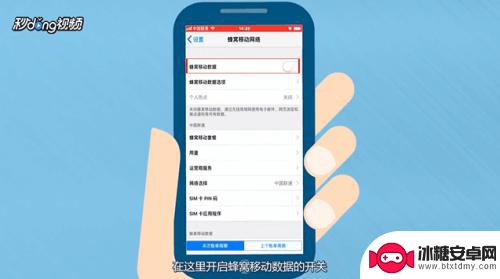 苹果手机怎么开流量数据 iPhone手机快速打开数据流量